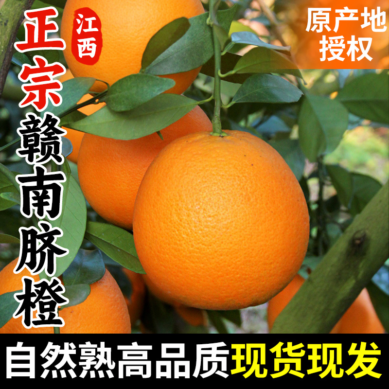 10斤正宗赣南脐橙果园直发当季热卖水果柑橘橙子爆甜多汁坏果包赔