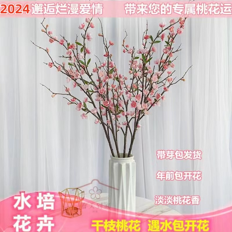 【遇水开花】桃花枝水培真桃花新鲜桃枝室内网红爆花绿植带花苞发货