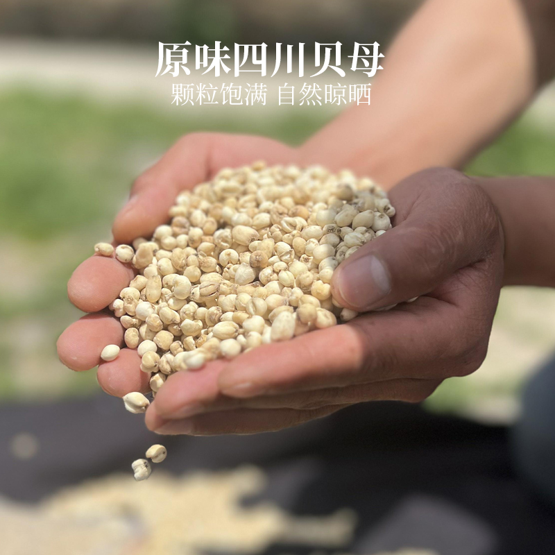【雪域专属】高原农家贝母50g家庭装 可研磨粉 正宗源产地直供新货