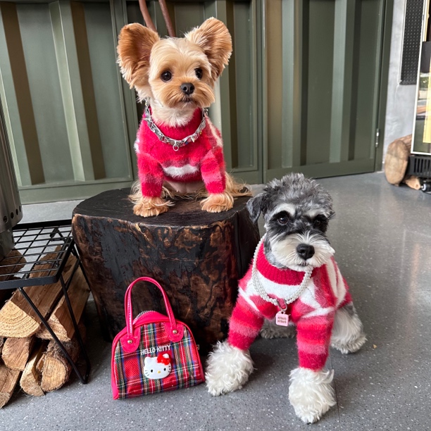 新款秋冬狗狗衣服马尔比熊雪纳瑞泰迪柴犬小型犬可爱休闲保暖毛衣