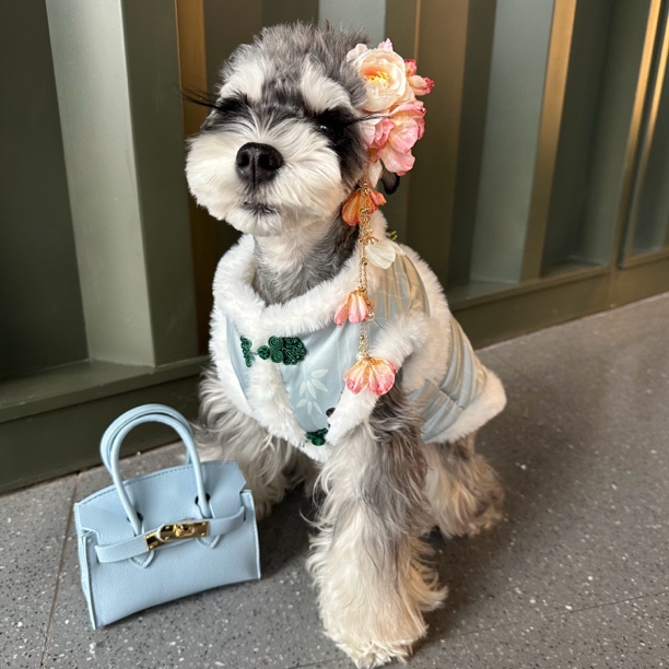 狗狗衣服冬季保暖加厚雪纳瑞比熊泰迪西高地马甲