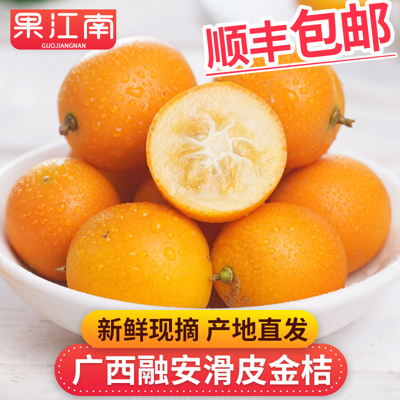【果江南】广西融安滑皮金桔3-5斤香甜多汁顺丰脆皮 新鲜应季水果