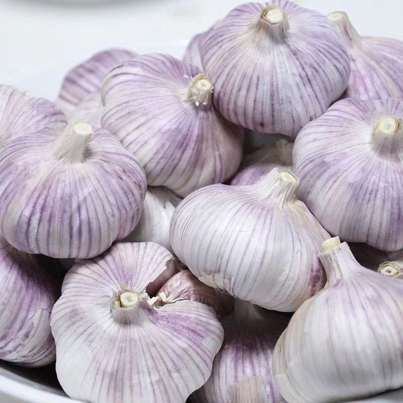 新干蒜5斤大蒜头 干蒜蒜头紫白皮大蒜大头蒜100克新鲜饱满爽口
