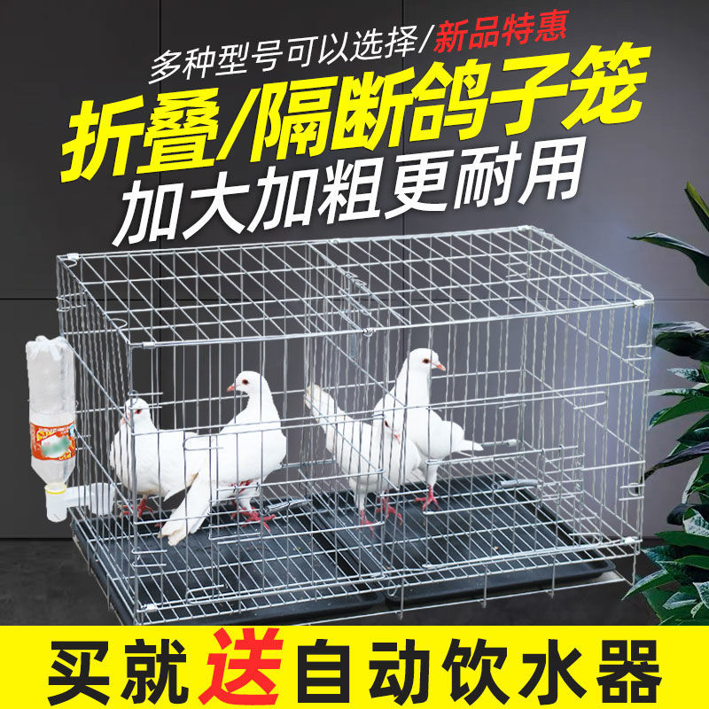 鸽子笼养殖笼大号家用折叠带隔断繁殖配对笼鸽子用品鸡笼鸟笼