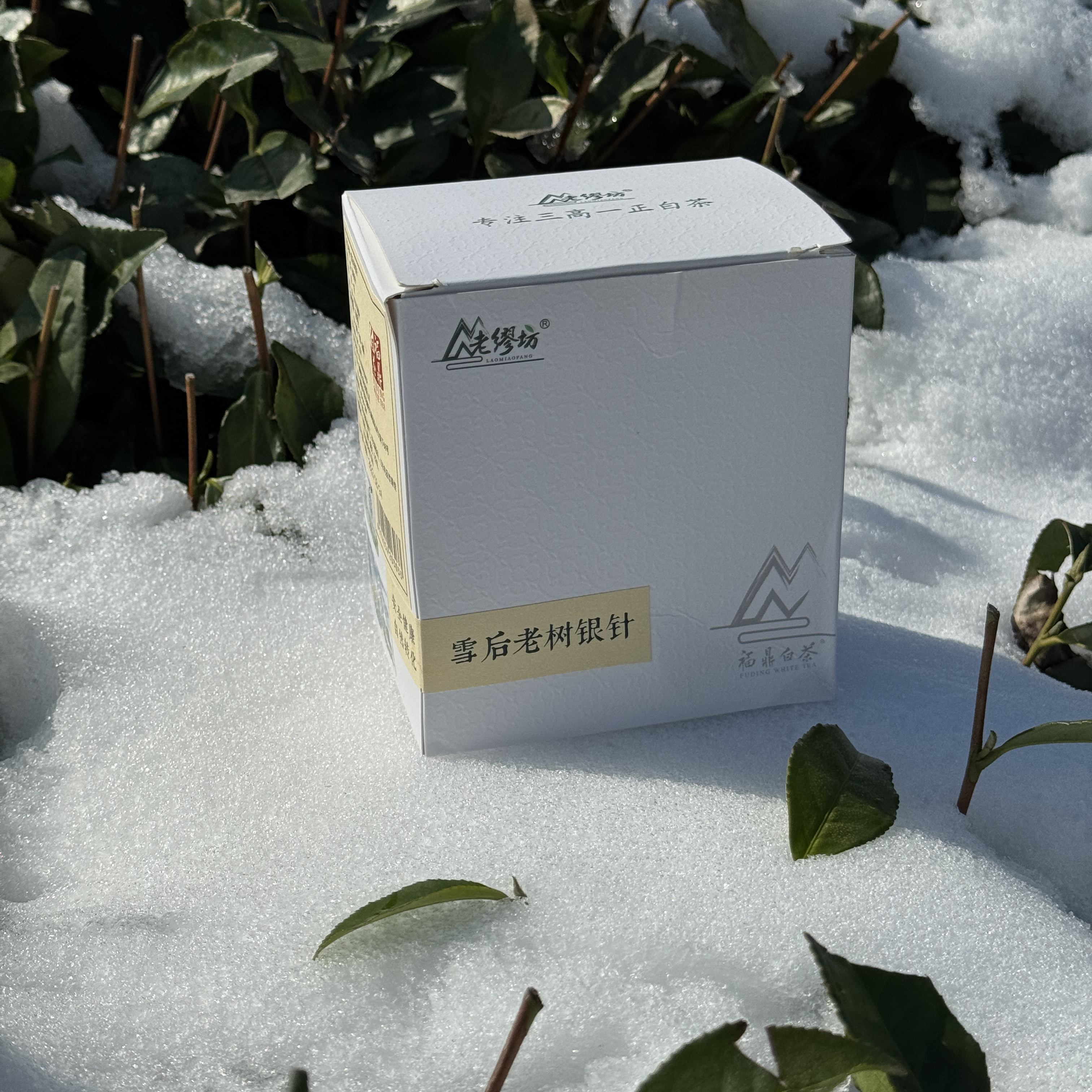 【老缪坊】雪后•2022年老树白毫银针100g正宗福鼎白茶高山茶叶散茶