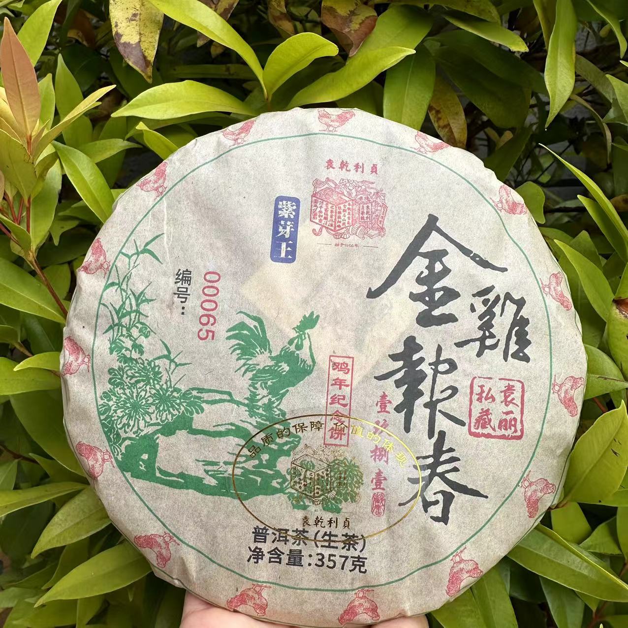 雨腾古茶 YQLZ1981年鸡年纪念饼金鸡报春紫芽古树普洱357g/饼生茶