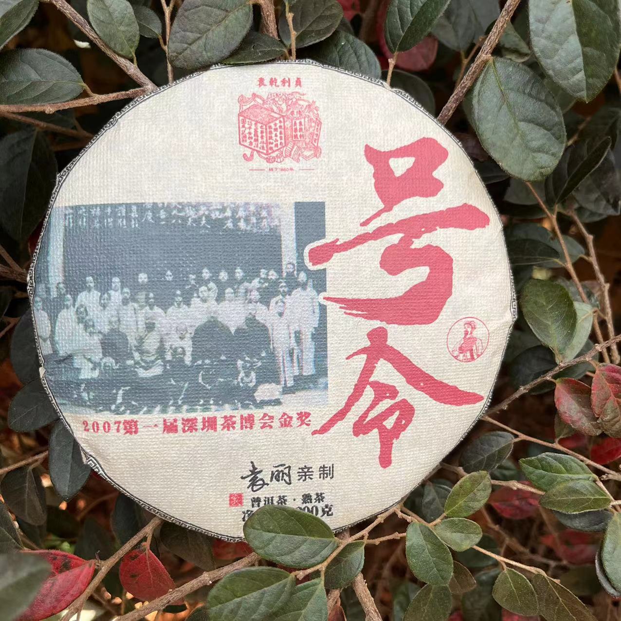 雨腾古茶  YQLZ号令YL亲制古树纯料普洱茶200g/饼  熟茶