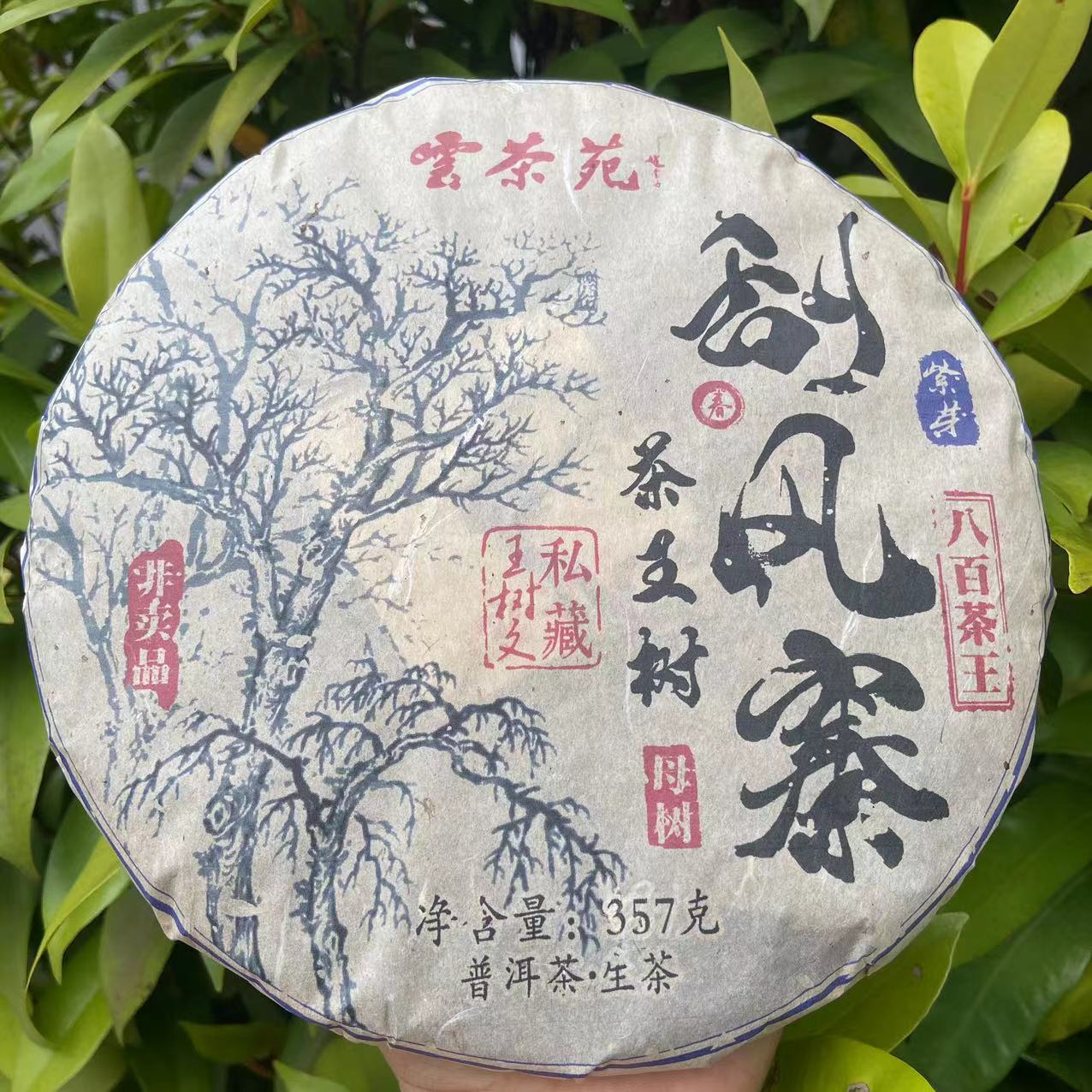 雨腾古茶 雲茶苑WSW私藏刮风寨茶王树紫芽古树普洱茶357g/饼 生茶