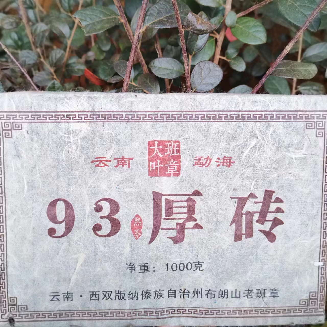雨腾古茶  班章大叶九三年厚砖古树纯料普洱茶1000g/砖   熟茶