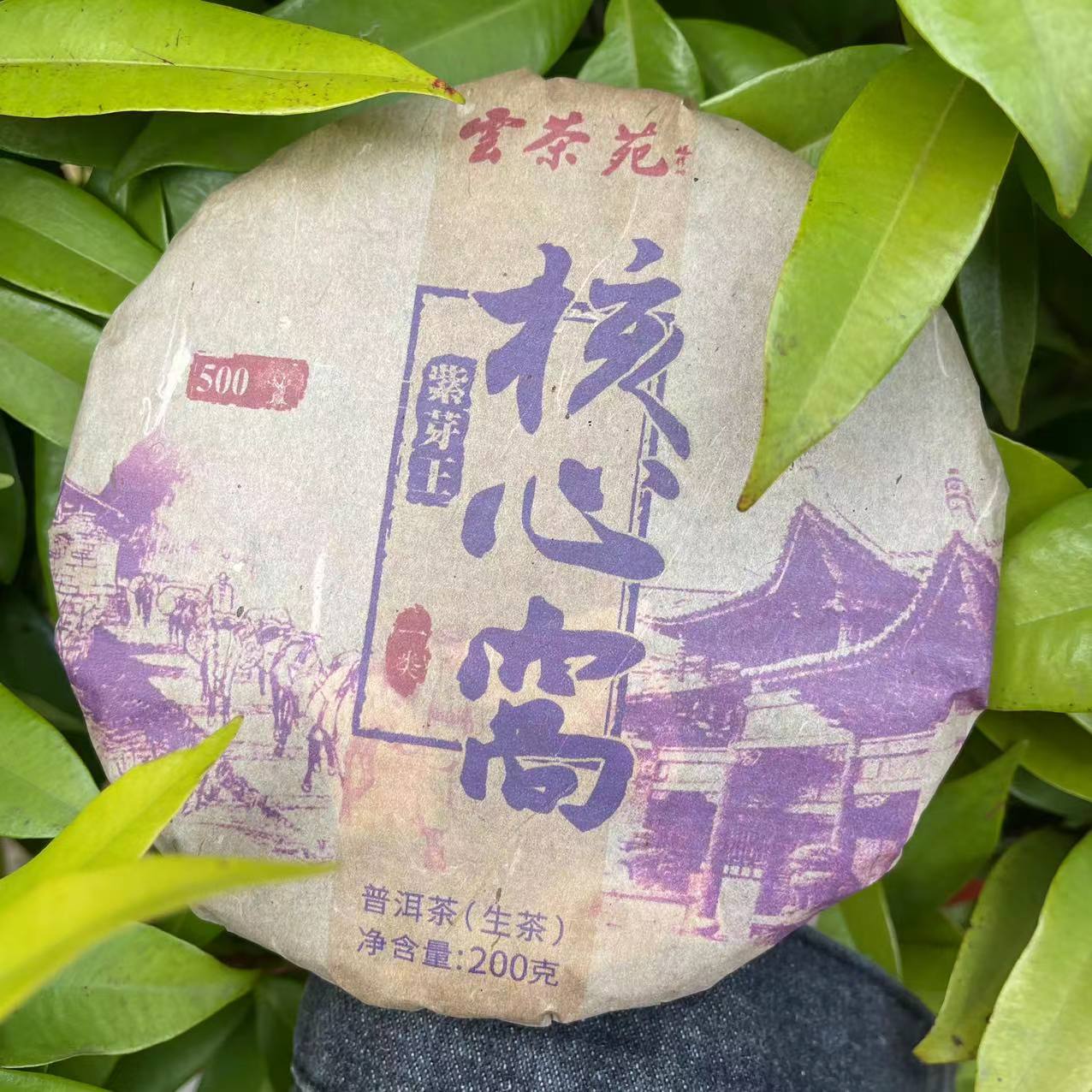 雨腾古茶  雲茶苑核心窝一类紫芽王古树普洱茶200g/饼 生茶