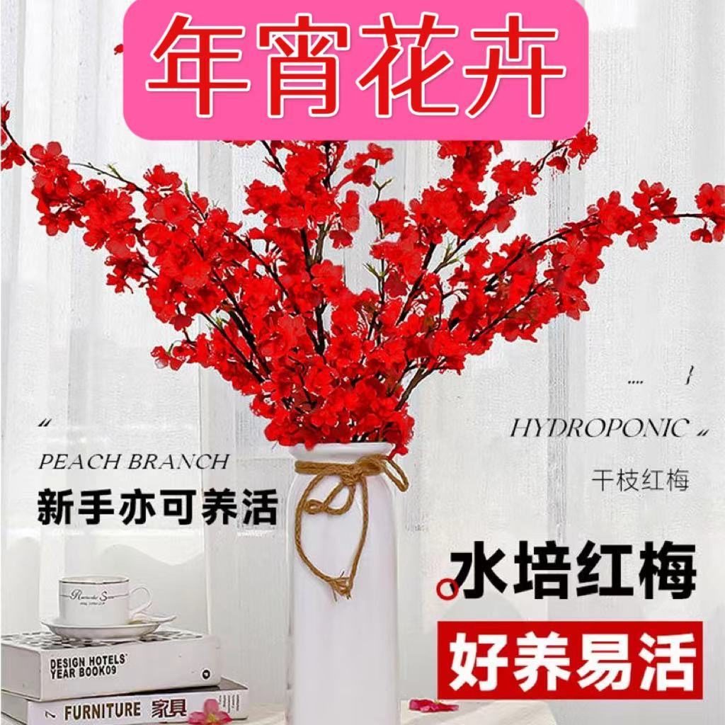 【买十送十】水培植物红梅干枝鲜枝切花室内水养花卉绿植耐寒梅花枝