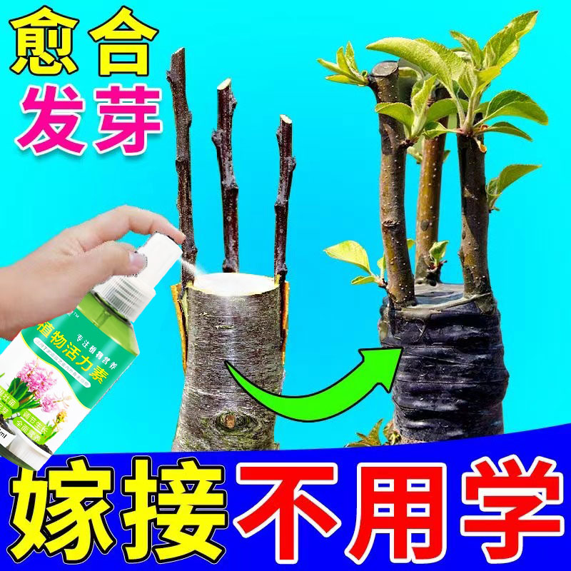 嫁接神器】万能型植物嫁接促活液伤口愈合剂盆景植物嫁接月季果树