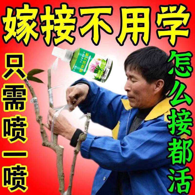 【嫁接不死】果树嫁接树木伤口愈合剂新款植物伤口愈合剂封口嫁接