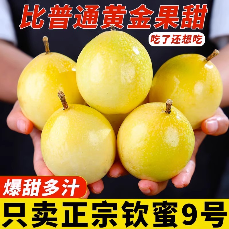 A10到手18个钦密9号黄金百香果新鲜水果现发原产地种植营养多汁