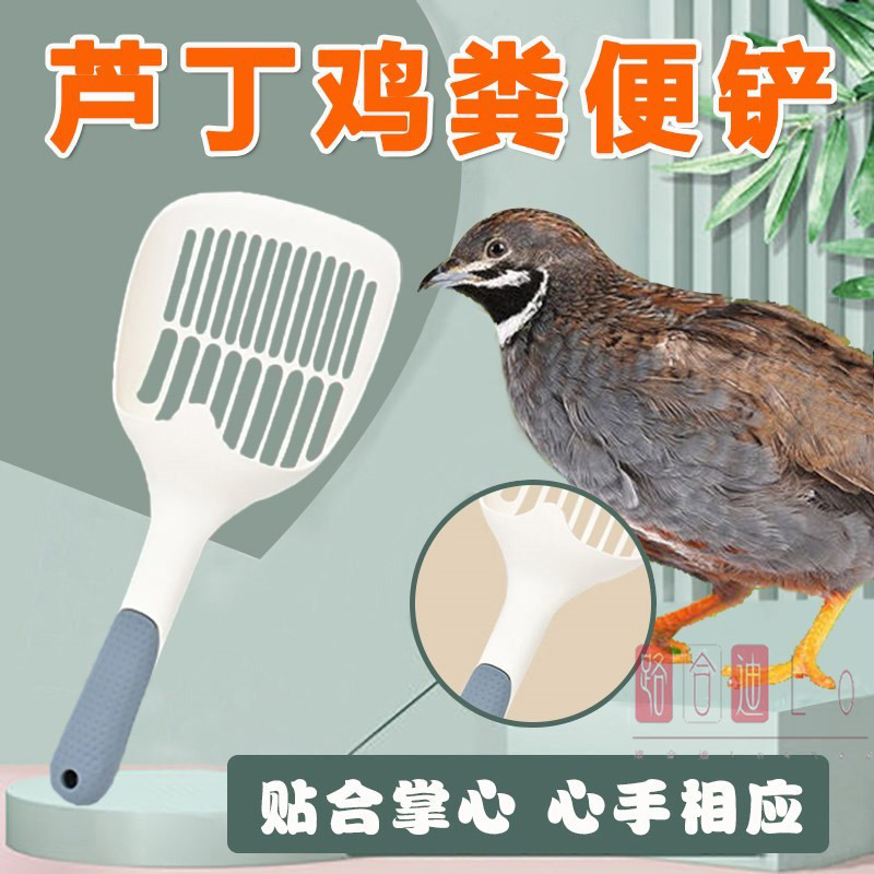 芦丁鸡铲屎铲子垫料粪便清理工具别墅造景饲养箱漏粪兜铲屎专用品
