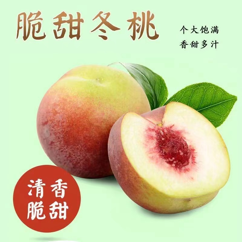 【坏果包赔】新鲜采摘沂蒙山蜜雪冬桃水蜜桃脆甜爽口