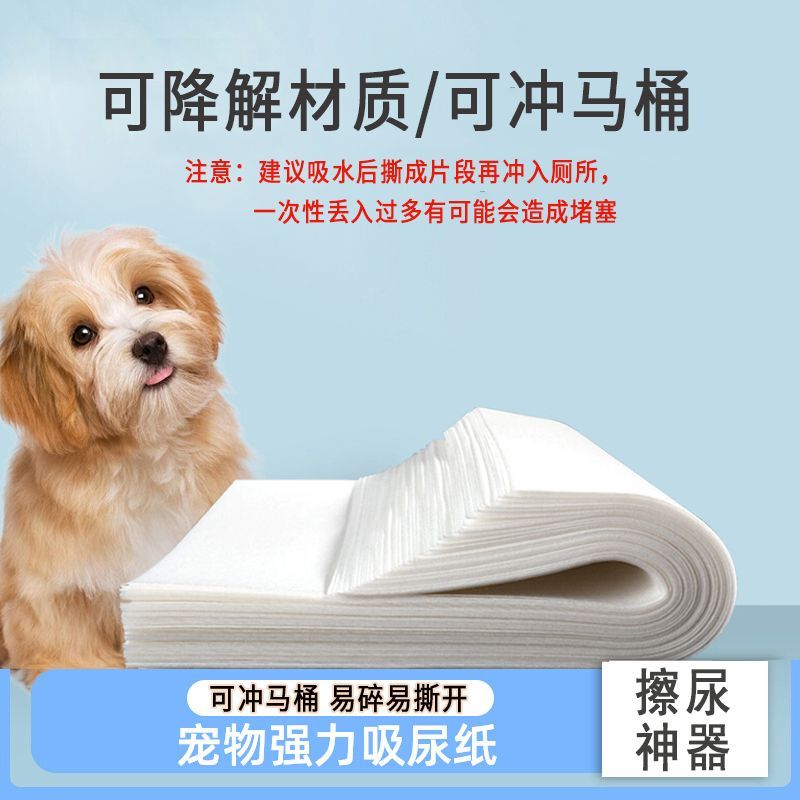狗狗吸尿纸擦狗尿神器狗狗尿垫猫咪宠物尿片吸水纸速干尿布一次性