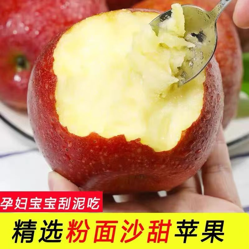 果中邢可脆可粉正宗秦冠苹果粉面沙甜脆甜爽口冰糖心老品种国光苹