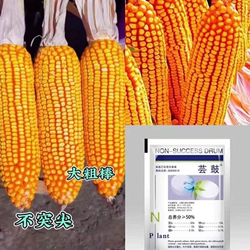 k奥德丰-高产大棒王--两袋11000粒--买十袋赠送一袋-------------