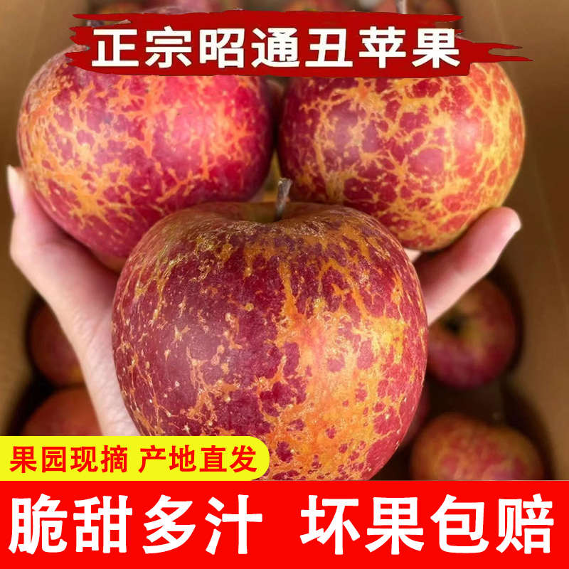 云南昭通苹果冰糖心红富士丑苹果产地新鲜现摘现发5/10斤整箱包邮