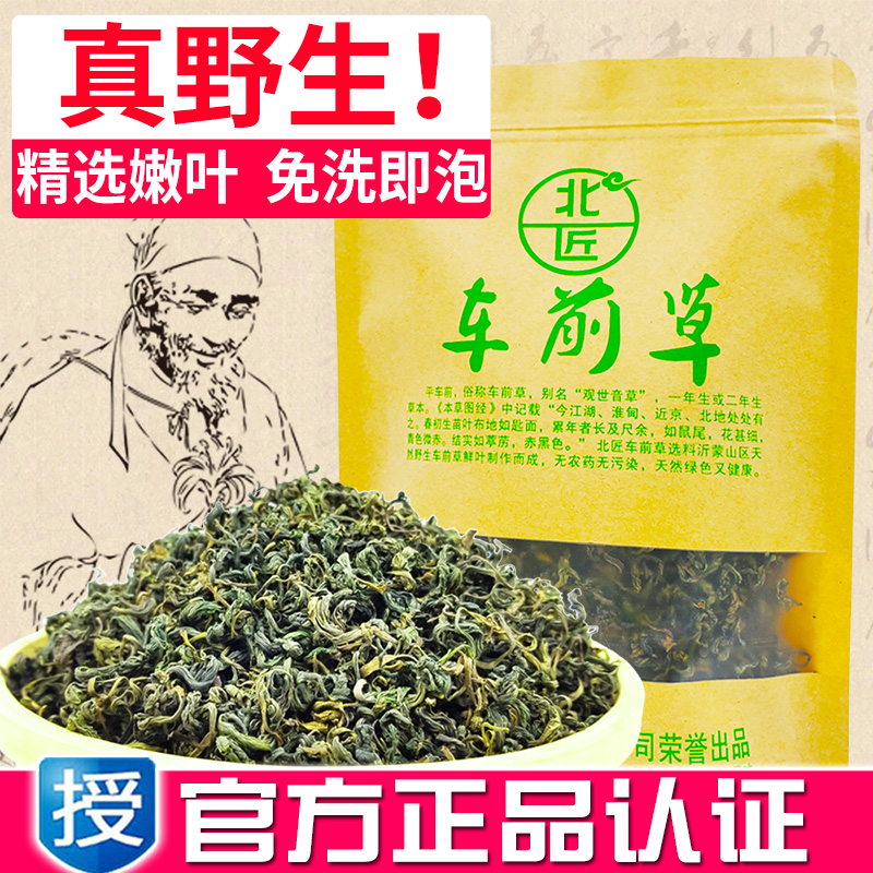 北匠车前草 正品野生炒制非晒干春天新鲜车前子嫩叶尿酸
