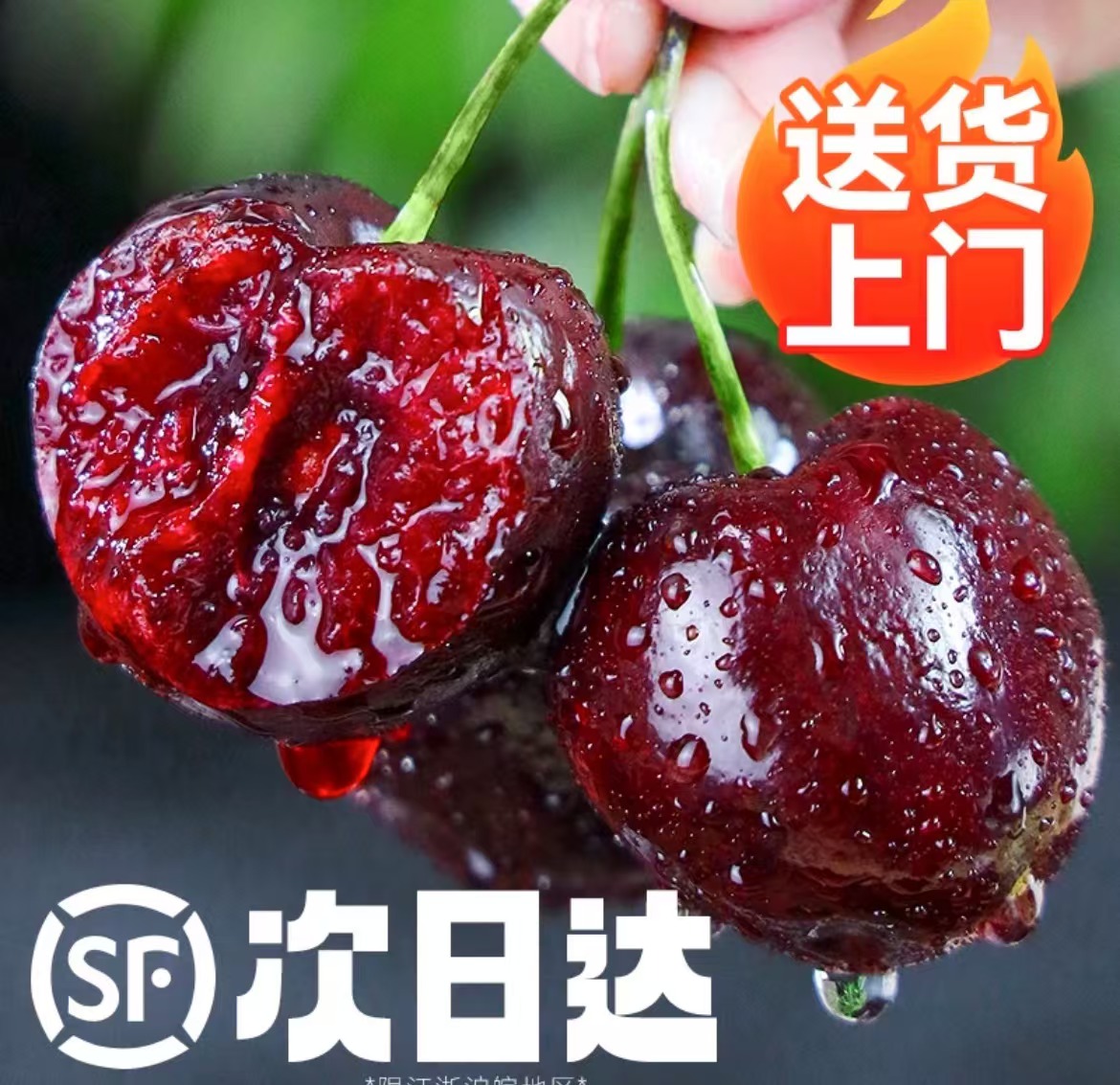 同城水果智力进口桑提娜车厘子 皮薄肉厚 爆甜多汁 新鲜到货