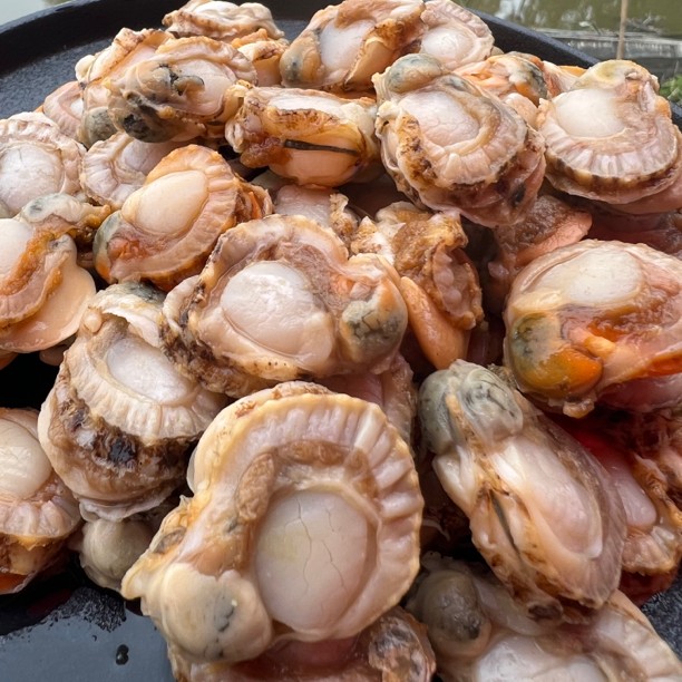 大连扇贝肉 新鲜扇贝 清蒸爆炒200克/包  10包