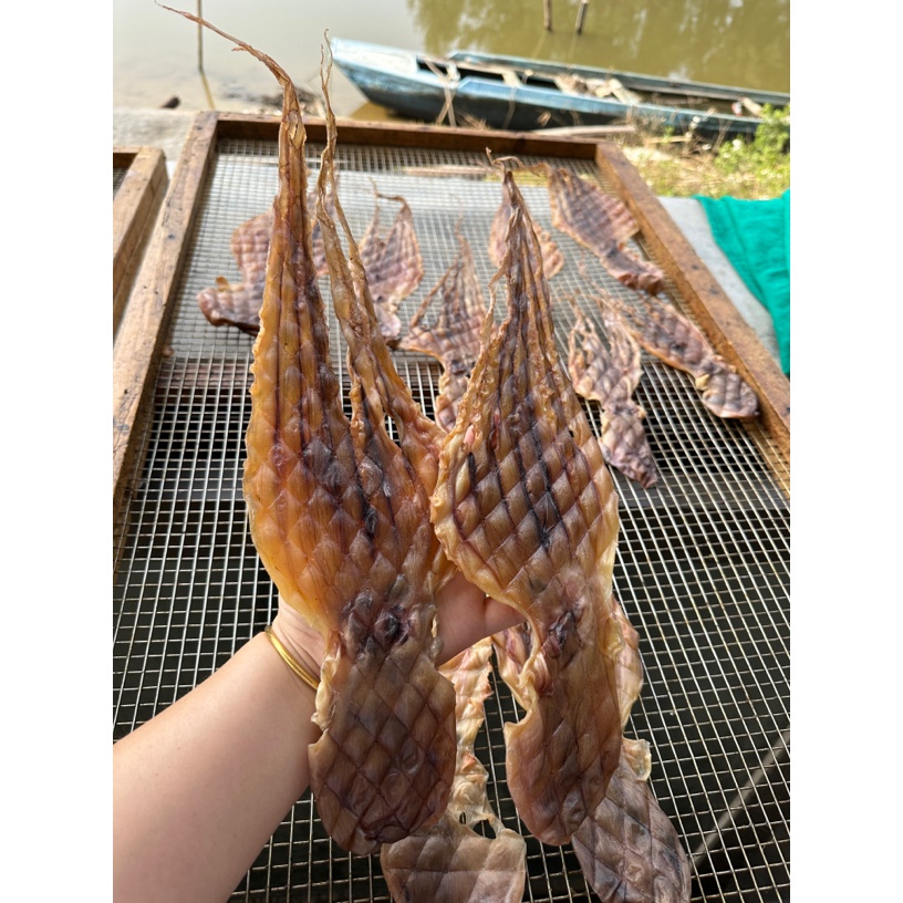 【每天一炸】川岛章鱼干 淡干货 八爪鱼干 250克 500克