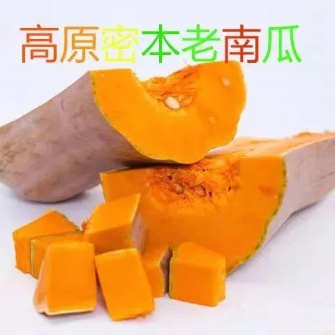 云南老金瓜密本老南瓜宝宝辅食孕妇食品南瓜新鲜板栗老味南瓜