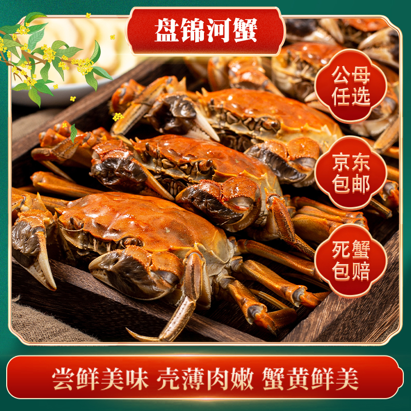 【京东包邮】盘锦河蟹母蟹2.2-2.6两/只一箱10只