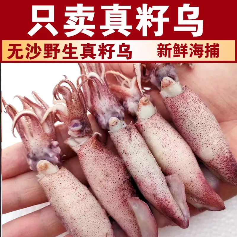 新鲜全籽籽乌带籽满籽乌鱼新鲜海兔子笔管鱼墨鱼鱿鱼一整箱批发