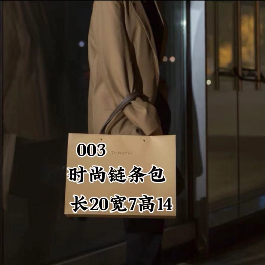 Z 003欧式链条包单肩斜挎手拎5163-6