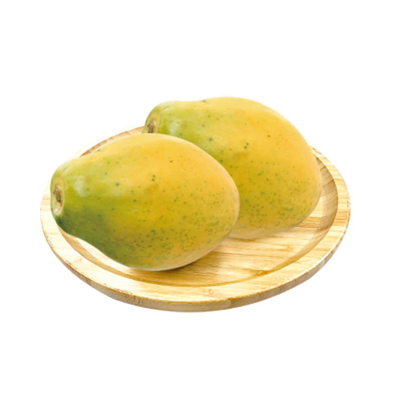 树上熟牛奶木瓜440-480g