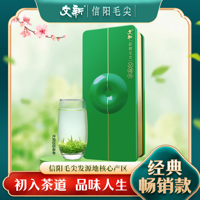 WenXin Tea/文新文新2023年新茶信阳毛尖绿茶雨前茶(品道)120g