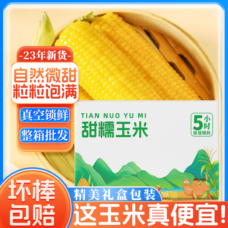 【新货福利】东北黄糯玉米10根真空装优选白糯粘苞米新鲜采摘