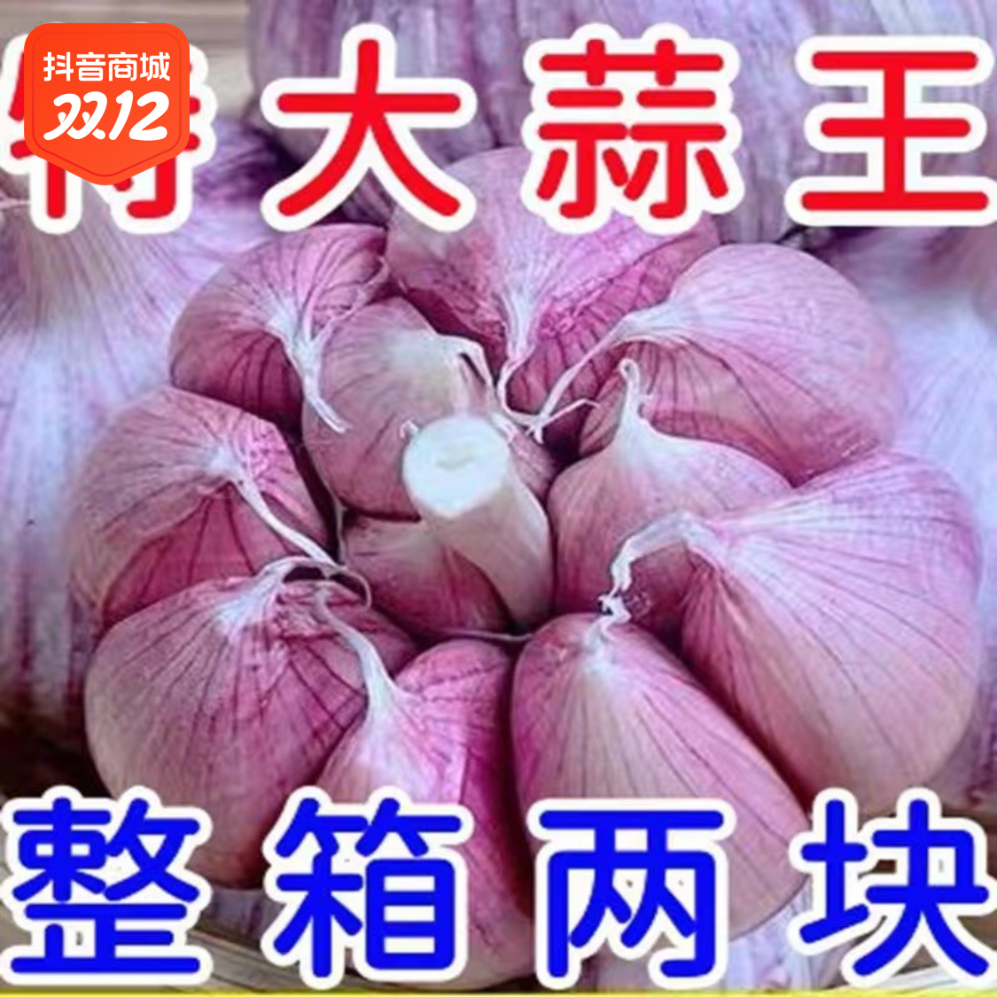 农家新干蒜食用辣味大蒜头新干蒜大蒜种紫白皮蒜子农家干蒜头种植