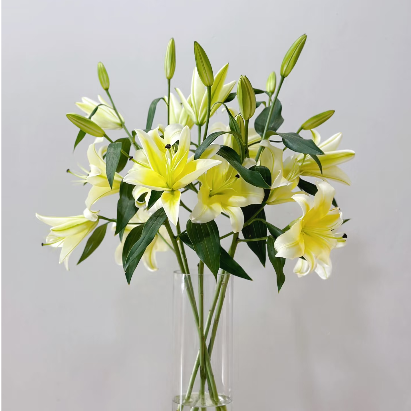 【黄色香水百合】任意两单鲜花包邮鲜花基地现采家养花期长礼物水培