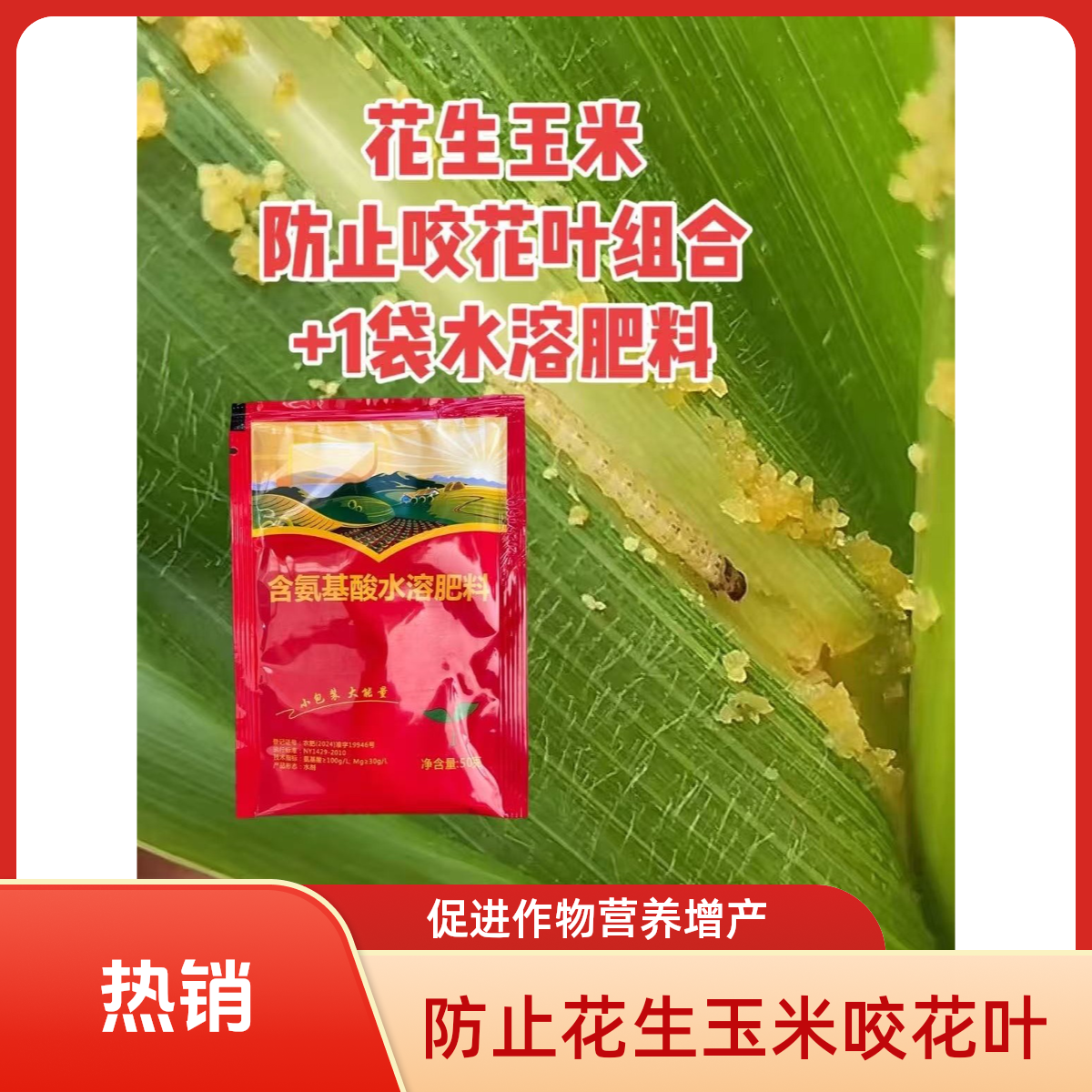 【加强升级兑水30斤】青重软重钻心重花生玉米大豆辣椒等通用叶面肥