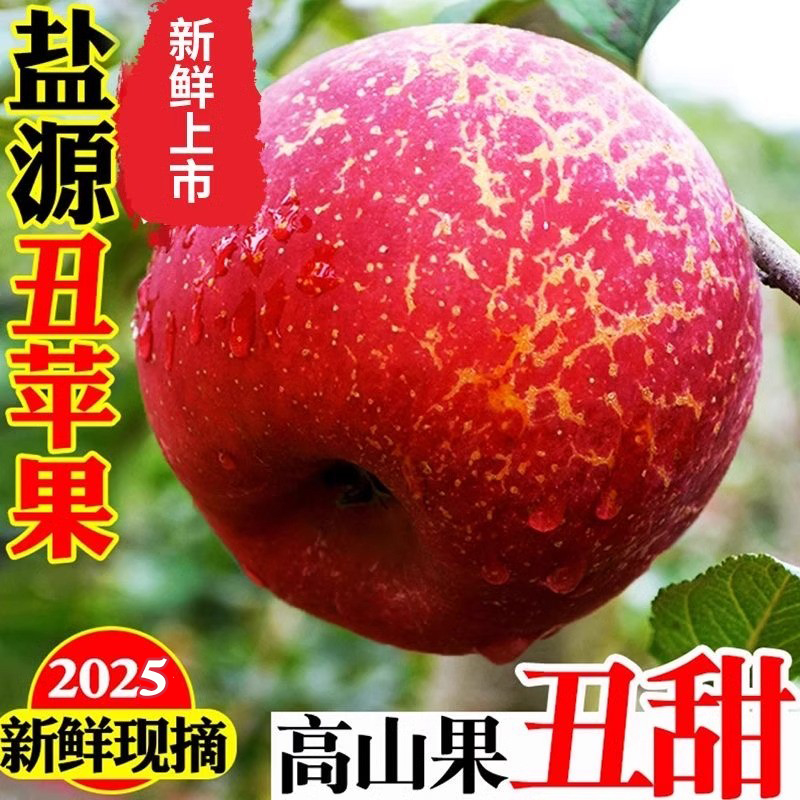 Q四川大凉山糖心丑苹果产地直发新鲜采摘