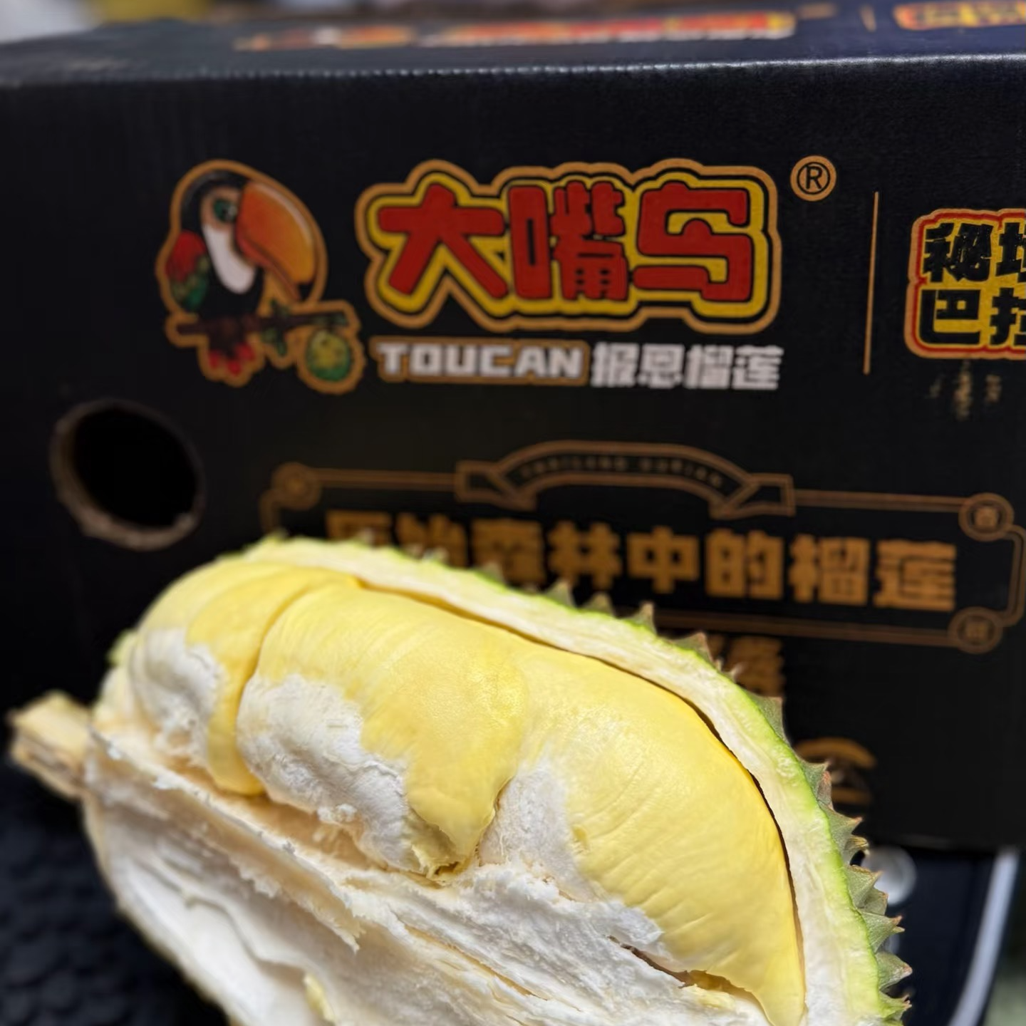 A果 大嘴鸟·GI秘境巴拉乌空运金枕榴莲