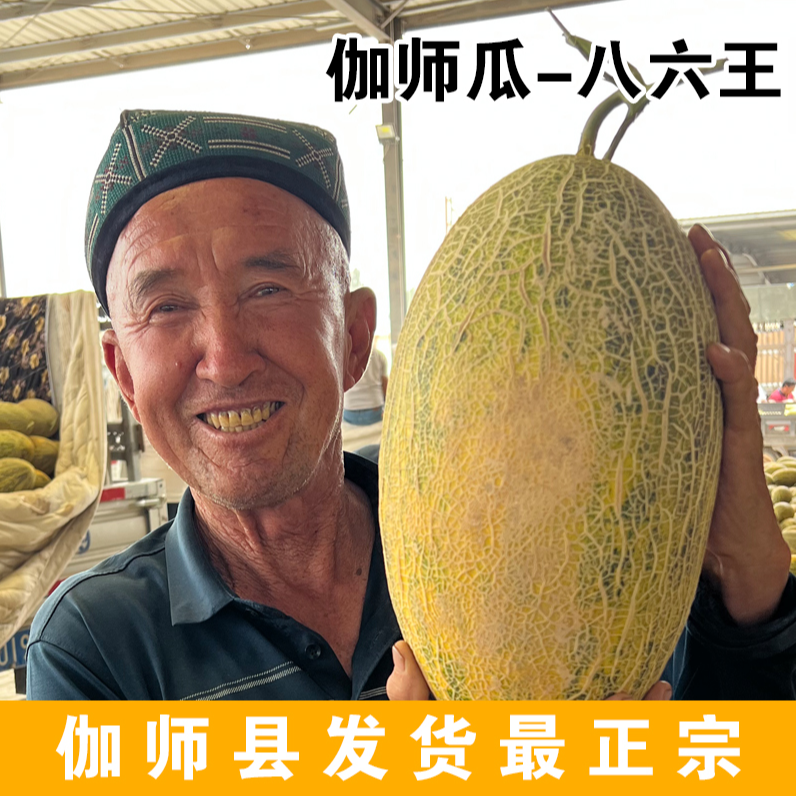 【京东空运】正宗新疆伽师瓜八六王非哈密瓜新鲜当季水果爆甜黄皮