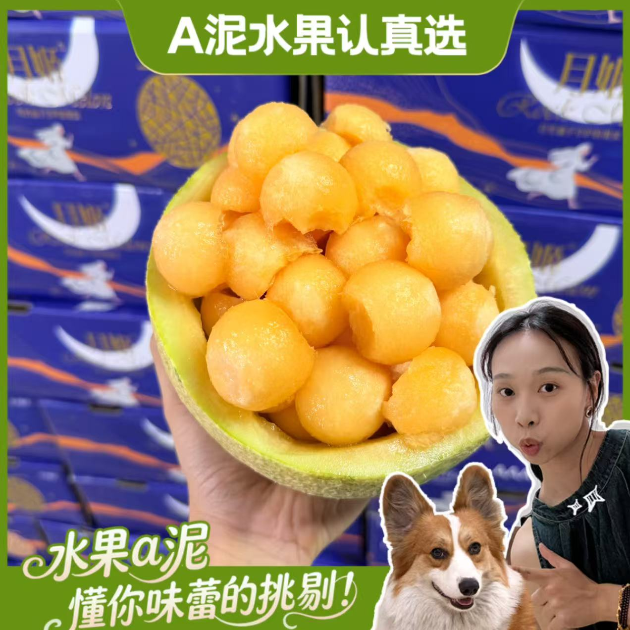新疆月姬蜜瓜 特大果2-4颗脆甜爽口 皮薄肉厚【坏果包赔+顺丰包邮】