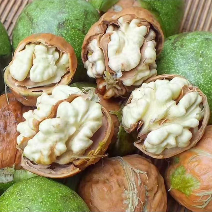 【带青皮发货】新鲜现摘青皮湿核桃薄壳脆甜营养美味Cy