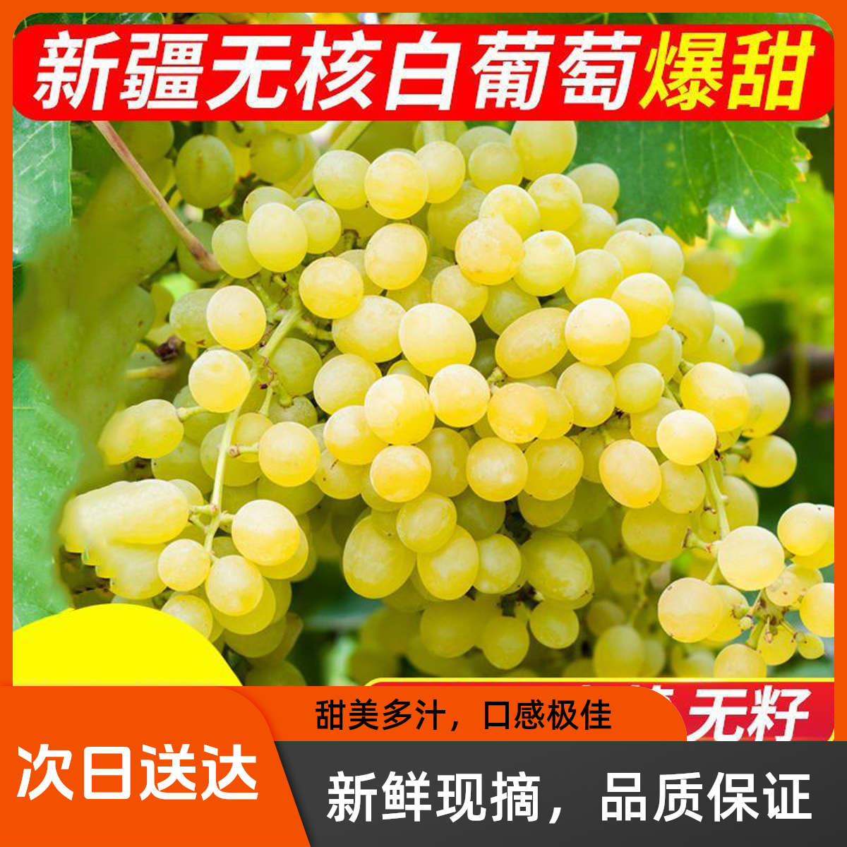 新疆吐鲁番无核白葡萄新疆维吾尔自治区
