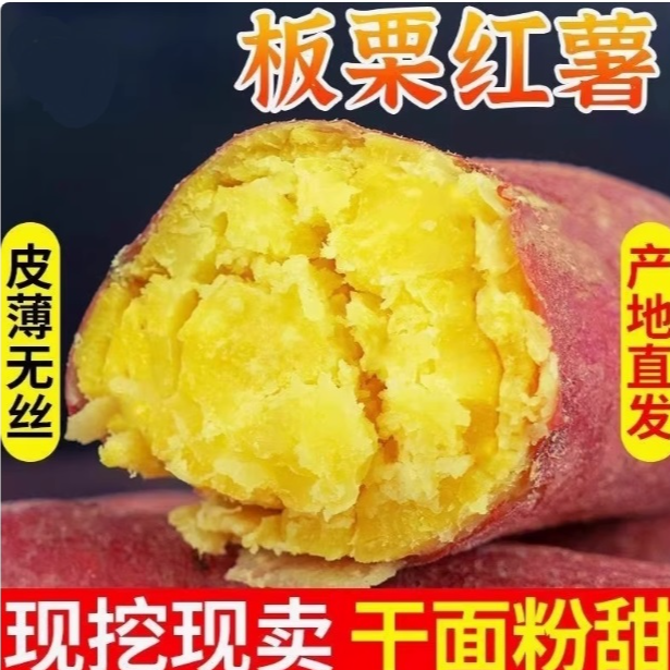 新鲜现挖正宗板栗味红薯沙地番薯软糯香甜黄心地瓜皮薄龙薯九号