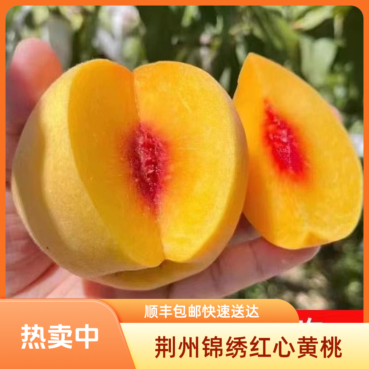 湖北荆州锦绣红心黄桃顺丰包邮露天种植现摘现发脆甜爆汁新鲜水果