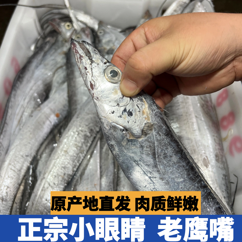 【*大号带鱼】正宗舟山野生小眼睛带鱼老鹰嘴油脂丰厚肉质鲜嫩 顺丰