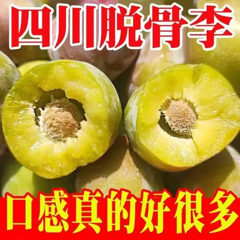 脆李子半边红李子大果李子冰糖李甜脆李新鲜水果维c水果