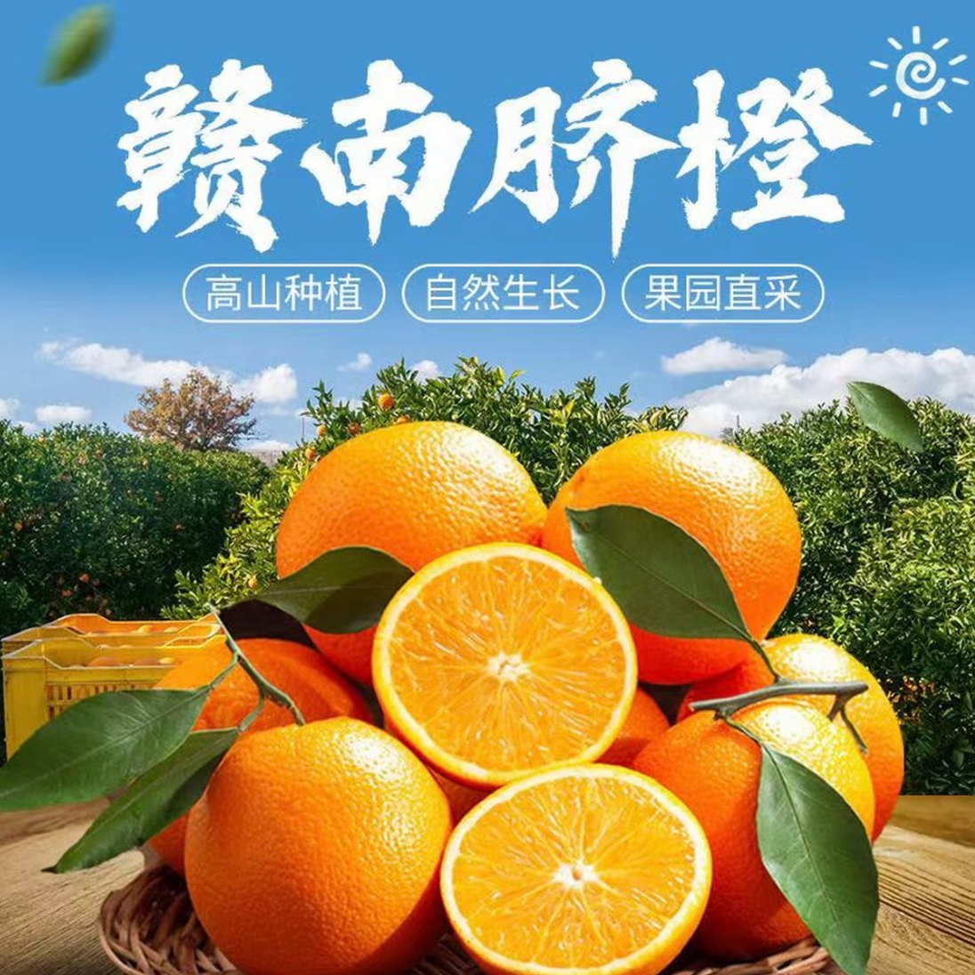 正宗江西赣南脐橙橙子新鲜水果现采现发包邮5斤10斤装鲜甜多汁江西省