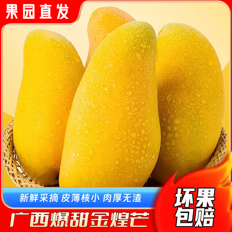 【黄皮发货】正宗广西黄皮金煌芒果水仙芒百色应季新鲜水果现摘现发